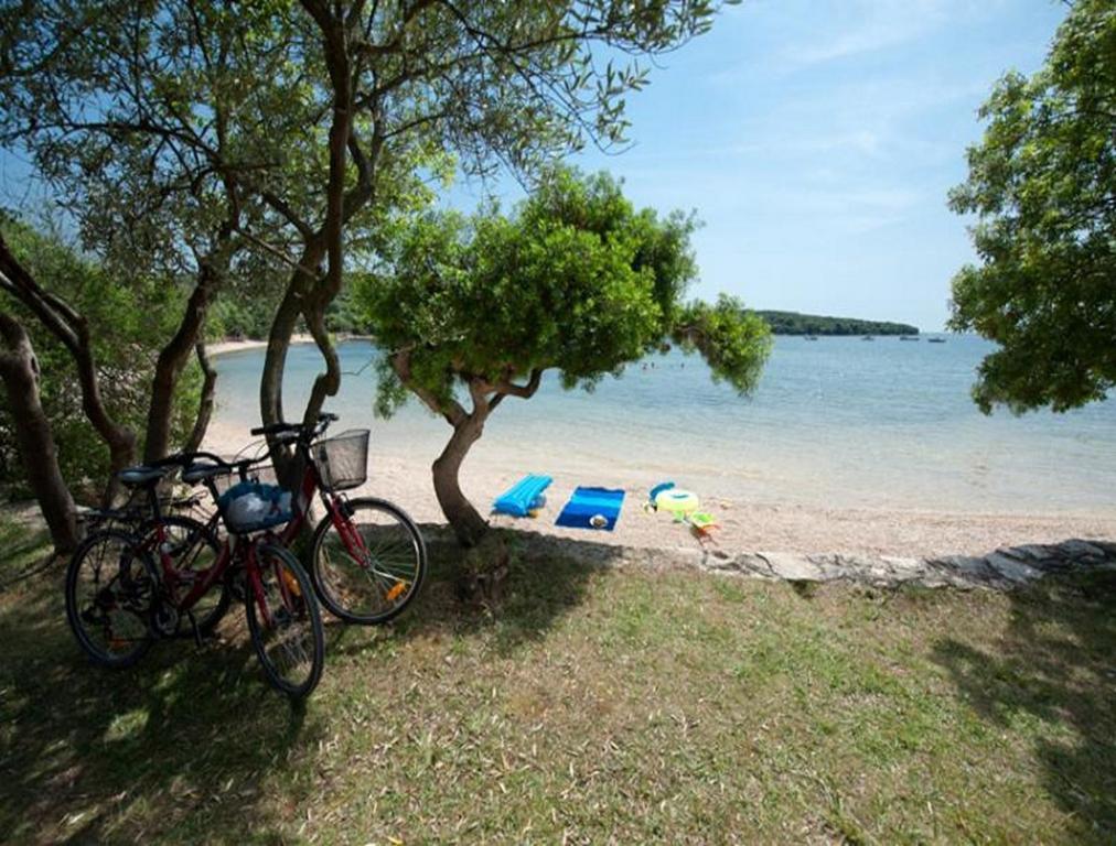 Casa Leona Apartment Rovinj Exterior photo